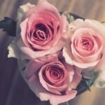 Cara Menebus Dosa Istri kepada Suami