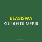 Beasiswa Kuliah di Mesir