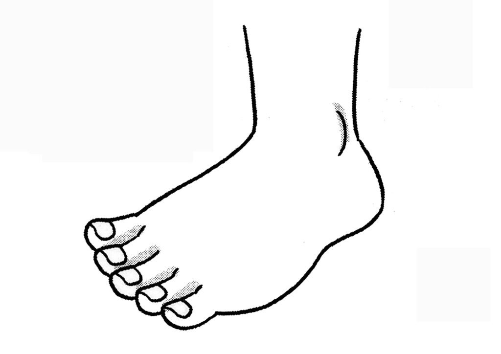 Anggota Tubuh di Kaki