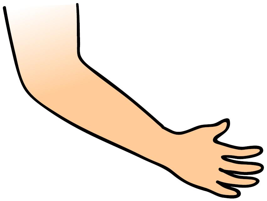 Anggota Tubuh di Tangan