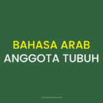 BAHASA ARAB ANGGOTA TUBUH