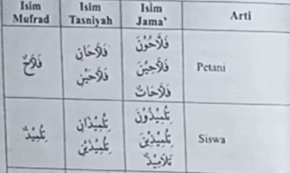 Dibedakan Berdasarkan Jumlah