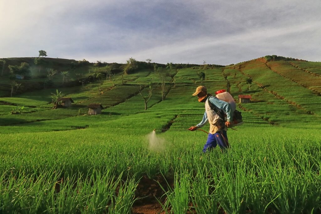 Etos Kerja dalam Islam