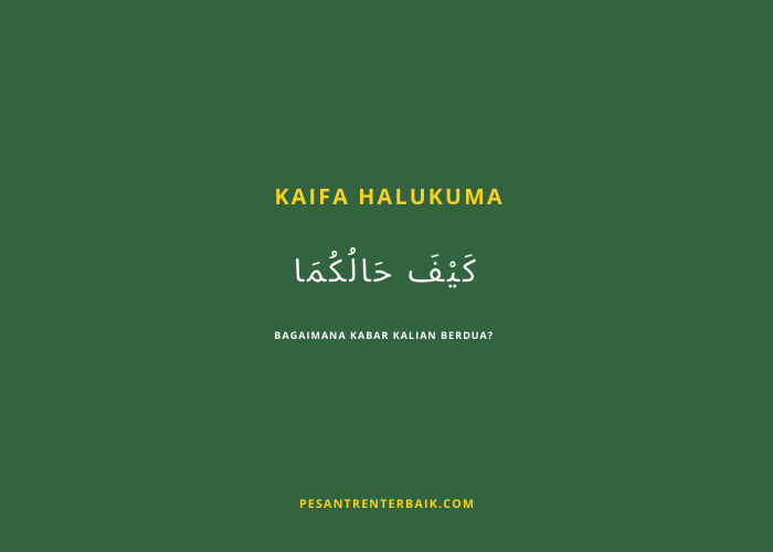 Kata Kaifa Halukuma