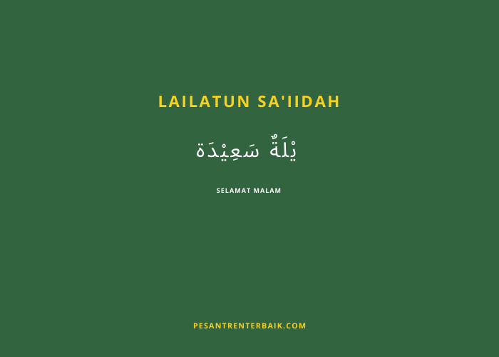 Lailatun sa'iidah