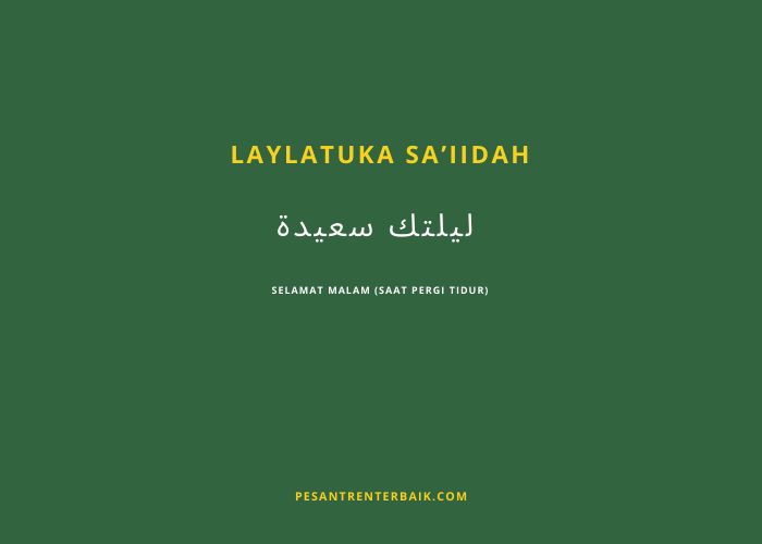 Laylatuka sa’iidah