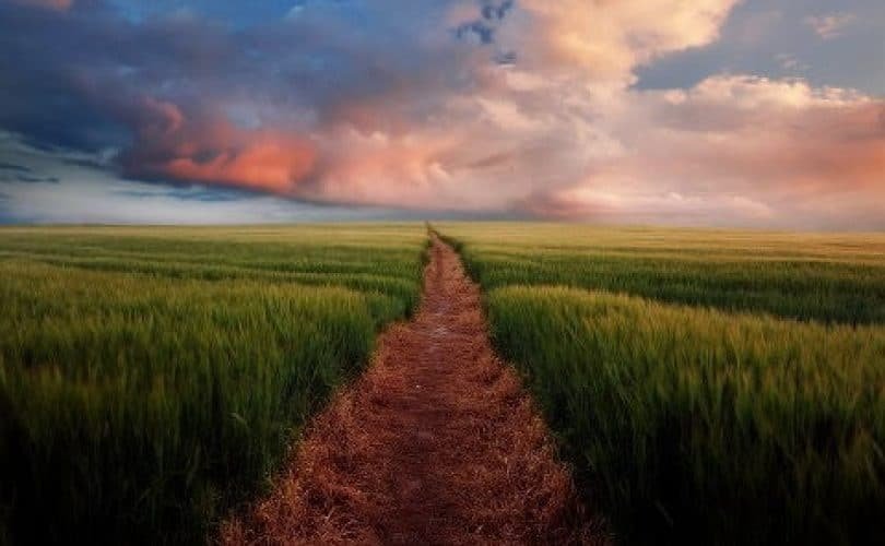 Rasulullah Utusan Allah dan Penunjuk Jalan Kebenaran