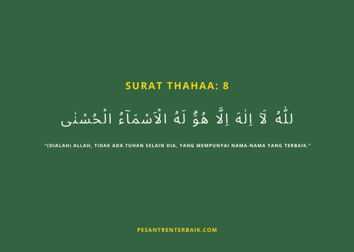 Surat Thahaa_ 8