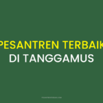Rekomendasi Pesantren Terbaik di Tanggamus